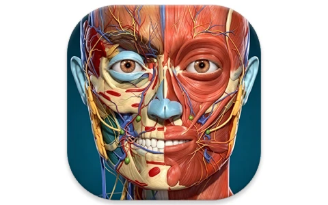 Anatomy Learning 3D解剖学图谱 v3.2.512 医学生必备学习专业软件 高级版