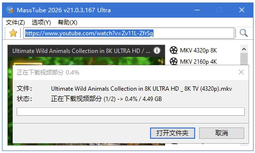 MassTube Ultra YouTube视频下载工具 v21.2.1.179 多语便携版二毛|软件|网创|付费|项目|免费|创业|副业|引流二毛创业网
