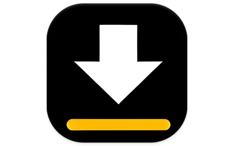 Video Downloader 视频下载器 v2.5.8 手机网页视频下载神器