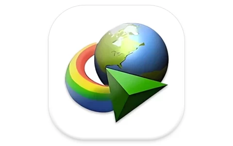 IDM Internet Download Manager 下载利器 v6.42.63 绿色版（仿）