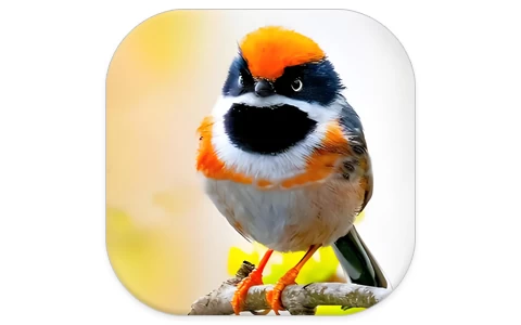 阔阔TV v1.3.3，影视频道非常丰富，电视家直播！