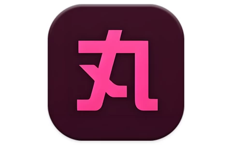 小丸工具箱 v236.0