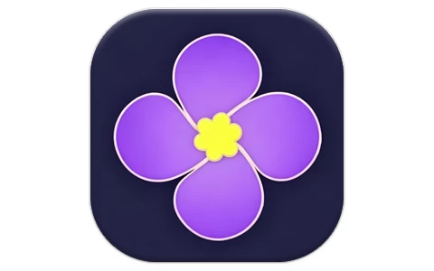 紫金草视频 v4.8.7 去广告