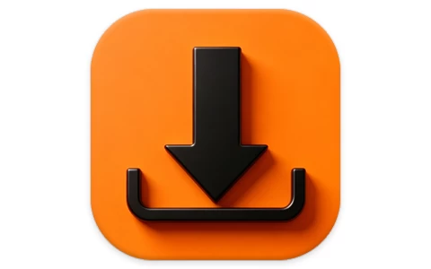 iDownerGo 流媒体网络视频下载工具 v10.15.2 多语便携版
