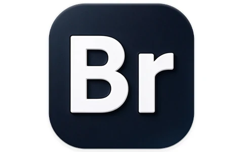 Adobe Bridge 2026 (16.0.8.10.00) 特别版