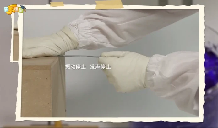 乐乐课堂：小小科学家